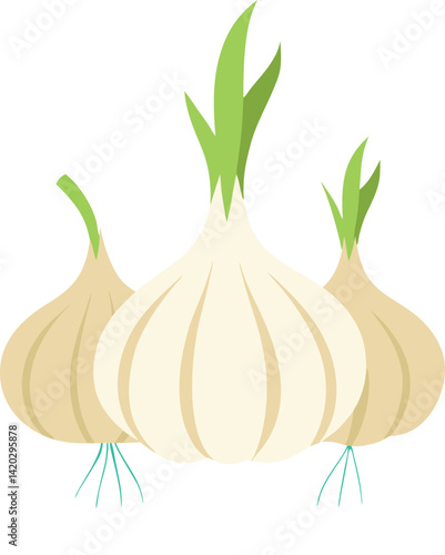 onion isolated on white