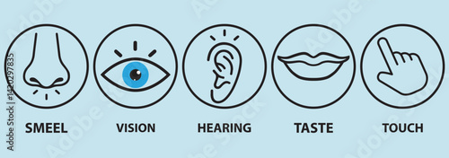 Five Senses line icons Five senses icon, representing the senses: eye (sight), nose (smell), ear (hearing), tongue (taste), and hand (touch) - ideal for web design education.