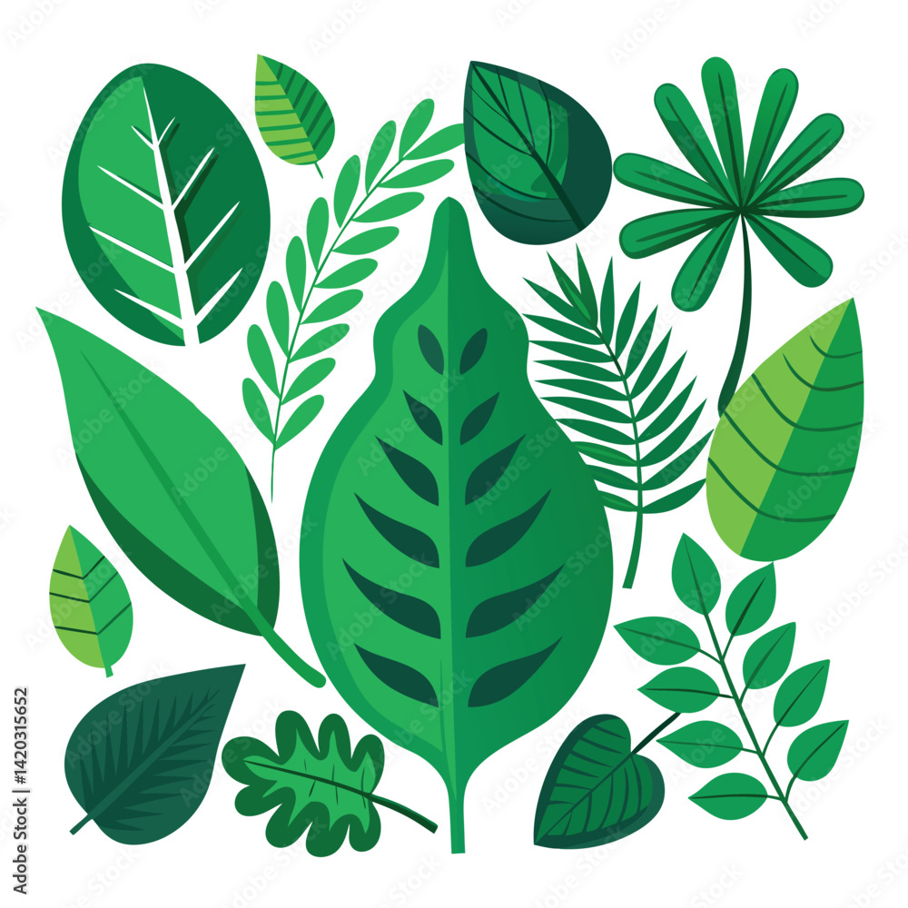 Fototapeta premium set of green leaf isolated on white background