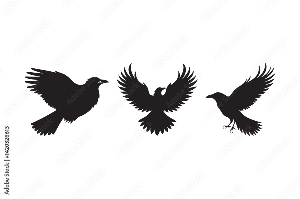 Fototapeta premium Flying Crow Silhouette Vector Set Black Raven Bird Clipart Collection