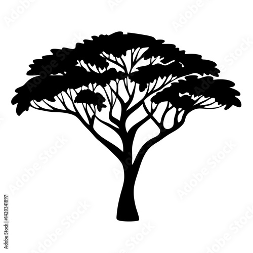 Silhouette of a solitary tree with a broad canopy and branching limbs