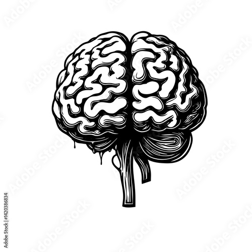 human brain vector