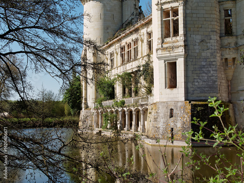 Canvastavla Château de la Mothe Chandeniers
