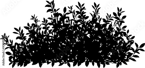 Silhouette of Dense Bush with Leaves