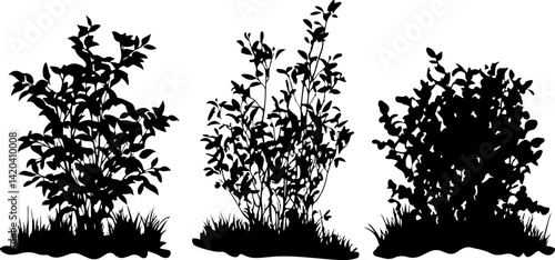 Silhouette of Dense Bush with Leaves