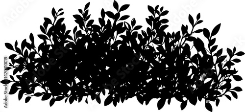 Silhouette of Dense Bush with Leaves