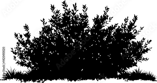 Silhouette of Dense Bush with Leaves