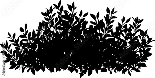 Silhouette of Dense Bush with Leaves