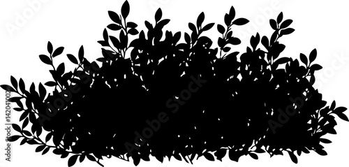 Silhouette of Dense Bush with Leaves