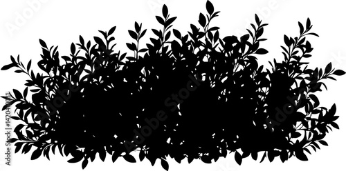 Silhouette of Dense Bush with Leaves