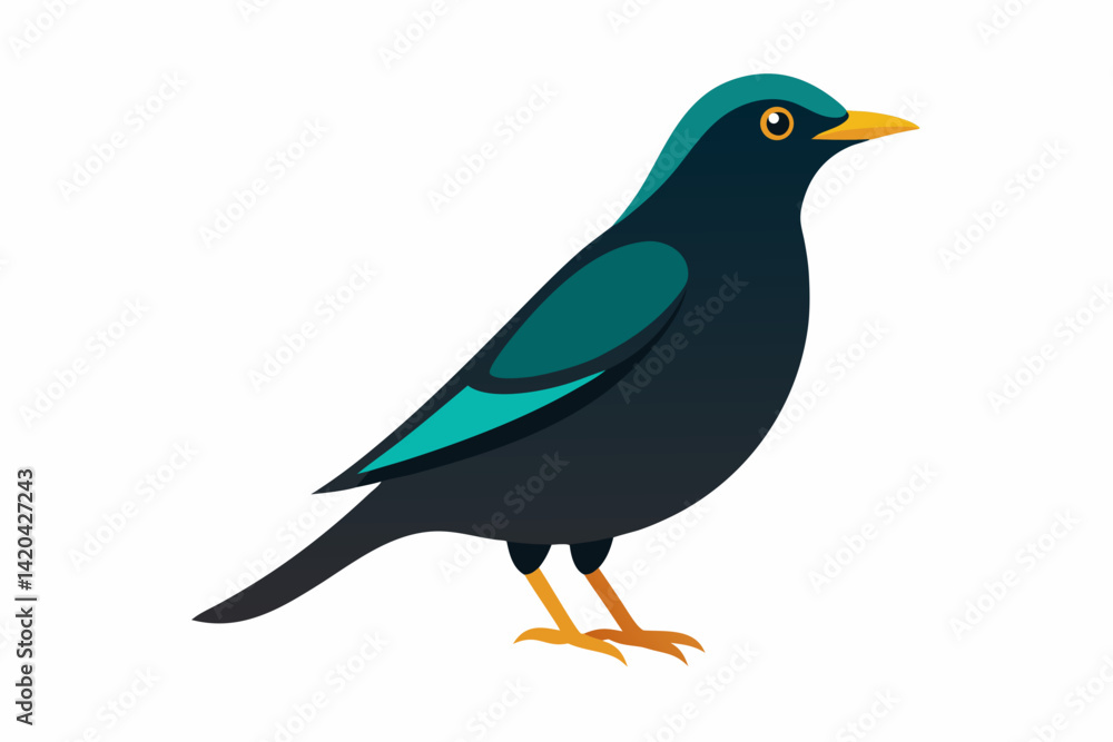Obraz premium blue bird isolated on white
