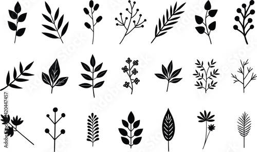 Hand-drawn leaves botanical floral vector element set part 2 illustrations on transparent background