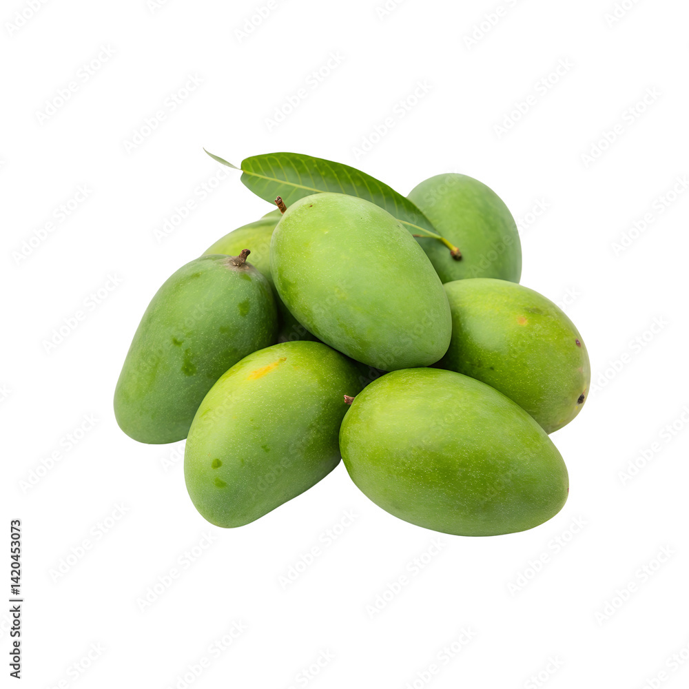 Cluster of Green Unripe Mangoes Isolated on Transparent Background. Green mangoes cluster of unripe fruit isolated on transparent background Cluster of Green Unripe Mangoes Isolated on Transparent Background. Green mangoes cluster of unripe fruit isolated on transparent background