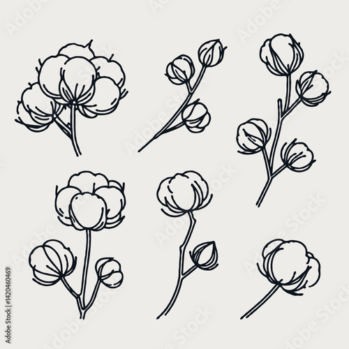 line art cloud-like softness illustration. Set outline fluffy cotton bolls sketch, doodle floral stems. Hand drawn Botanical drawing. Simple Stylized flowers. Black and White blooming