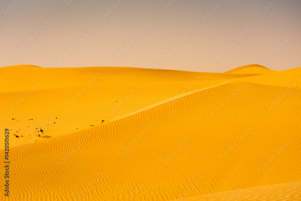 Landscape of the Rub Al Khali Desert near Dubai, UAE