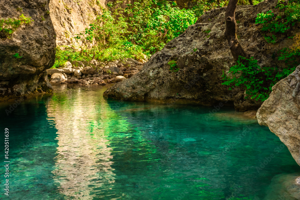 Crystal clear waters of natural springs and lake in the woods of the Mount Olympus, Greece