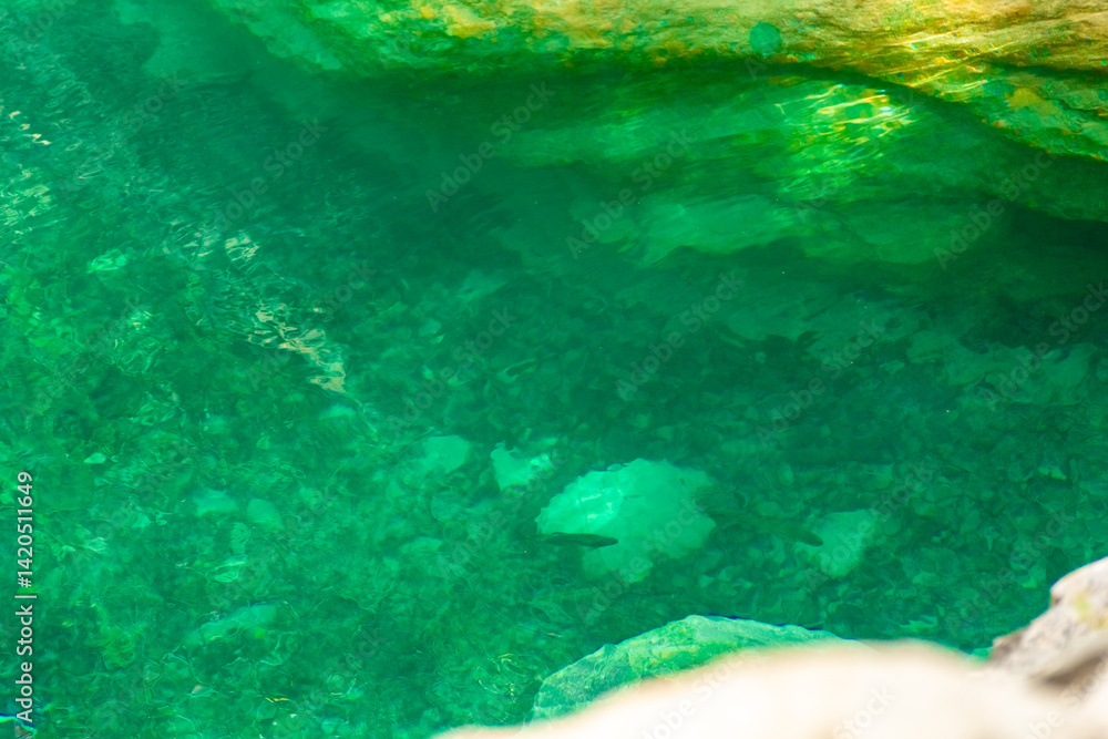Crystal clear waters of natural springs and lake in the woods of the Mount Olympus, Greece