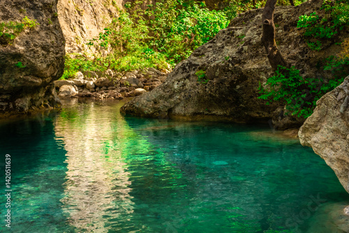 Obraz na płótnie Crystal clear waters of natural springs and lake in the woods of the Mount Olympus, Greece w salonie