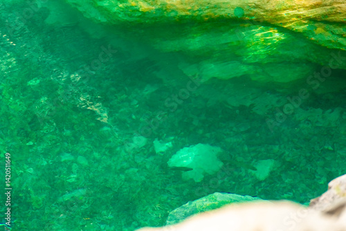 Obraz na płótnie Crystal clear waters of natural springs and lake in the woods of the Mount Olympus, Greece w salonie
