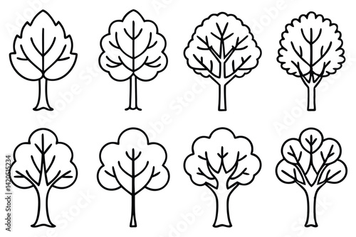 Beech Tree Clipart Bundle
