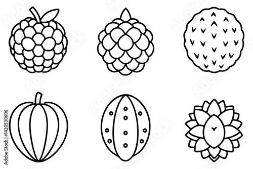 Cherimoya Diverse Types Set