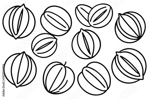 Chokecherry Different Types Set