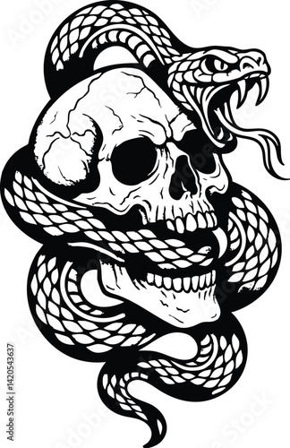 Snake Viper Skull tattoo. Snake wrapped around skull vector illustration. Old School Detailed vector illustration of a venomous snake coiled around a human skull, symbolizing danger and death.
