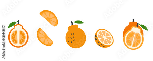 Jeju hallabong orange singapore korea fruits vector set. Perfect art for stickers, poster, label, sale, card. Hand drawn illustration for decor and design.