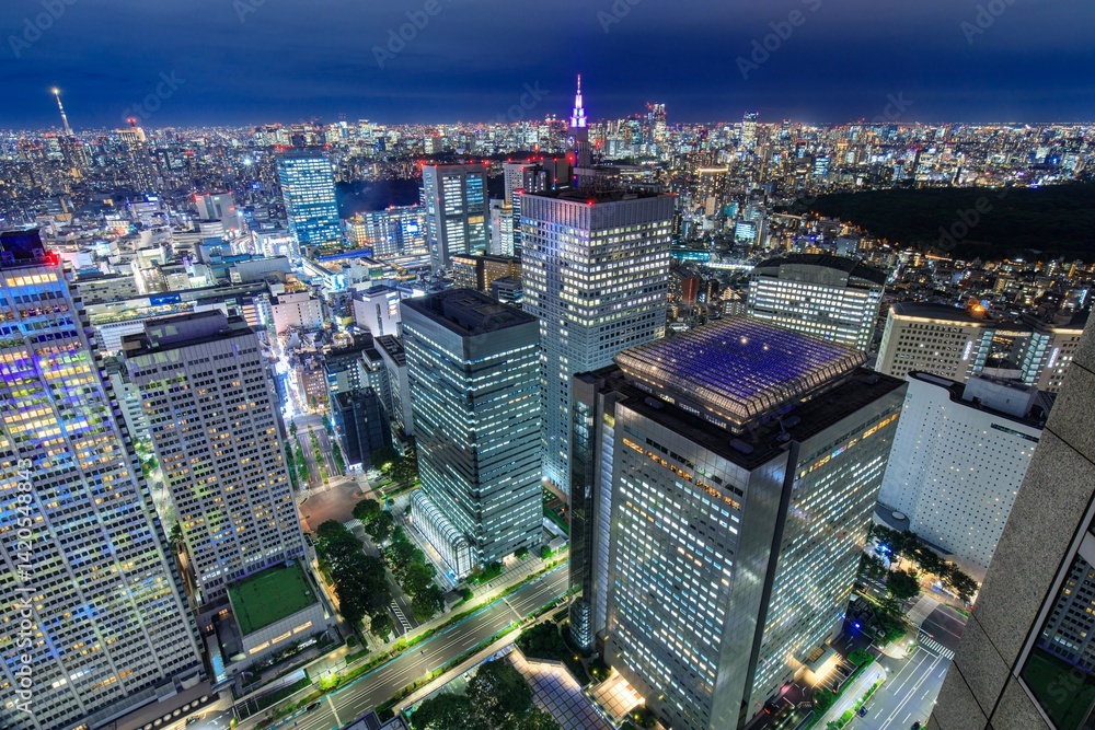 Naklejka premium 【夜景100選】東京都庁展望室からの新宿駅方面の夜景