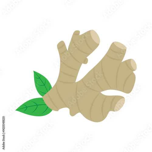 indian spice Ginger Root Fresh