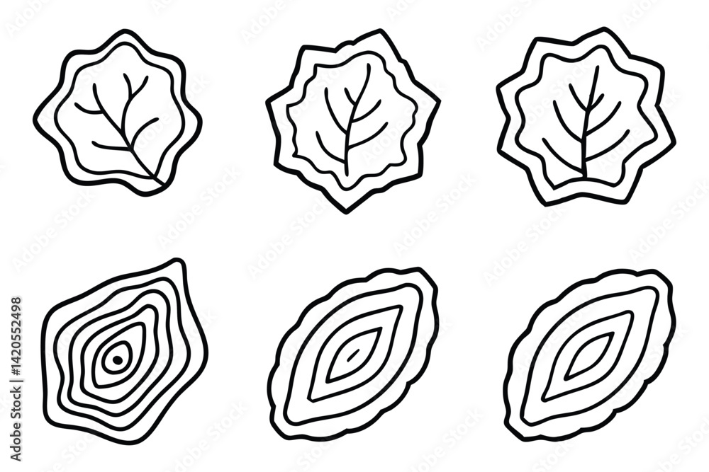 Elm Plant Species Line Art Set Elm Plant Species Line Art Set