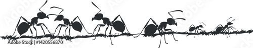A line of ants marching together in a black silhouette, showcasing teamwork and nature.