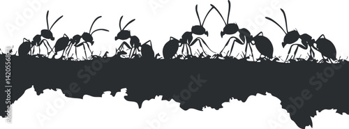 Silhouette of a line of ants showcasing teamwork and movement in their natural habitat.
