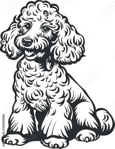 A cute illustration of a fluffy poodle dog sitting happily with curly fur.