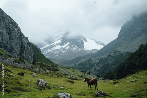 Wallpaper Mural Horse in Mountain Valley on Overcast Day Torontodigital.ca