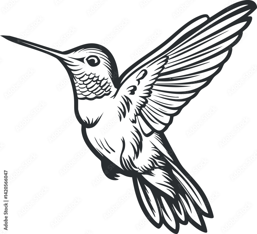 Fototapeta premium A detailed illustration of a hummingbird in flight showcasing its elegant wings and features.