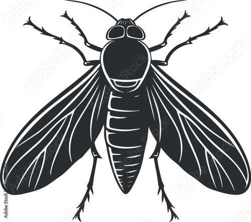Illustration of a detailed cicada insect in black and white vector style.