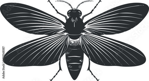 Detailed illustration of a moth showcasing intricate wing patterns and anatomical features.