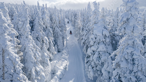 Fotografi Aerial view of snowmobiles on a trail through the snow-covered boreal forest for