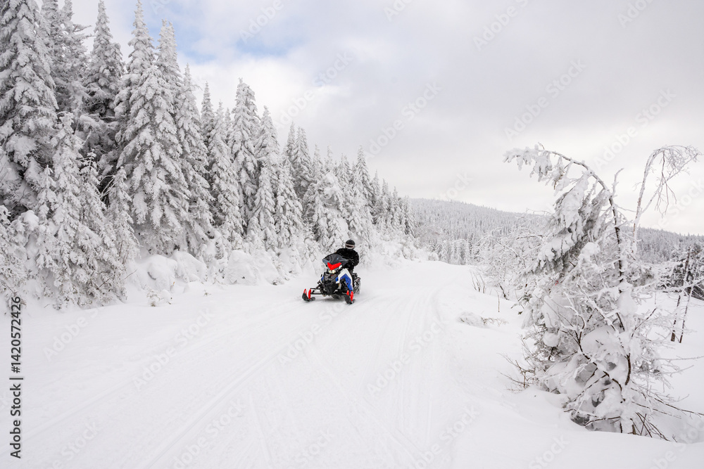 Snowmobile on a trail through a snowy forest on a beautiful winter day Snowmobile on a trail through a snowy forest on a beautiful winter day