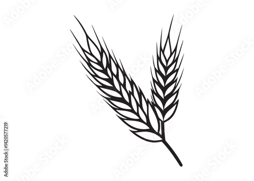 Agriculture wheat ear silhouette Vector