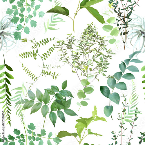Summer garden greenery print with emerald leaves and wildflowers. Eucalyptus, herbs and plants. Botanical pattern design. Seamless vector pattern. Simple tileable backdrop on white background