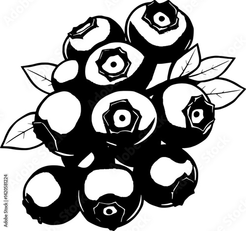 Freshly Picked Blueberries on the Branch Juicy and Ripe