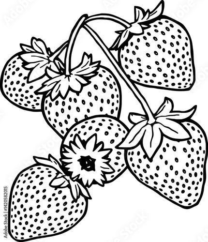 Freshly Picked Strawberries on the Vine a Delightful Cluster of Ripe Red Berries