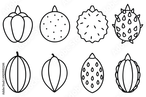 Organic Hala Fruit Vector Set