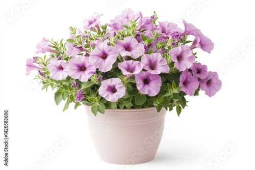 Wallpaper Mural Lilac Petunia Flower in Pot Torontodigital.ca