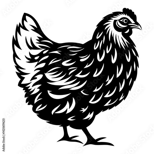 Detailed black and white vector illustration of a hen, chicken, fowl