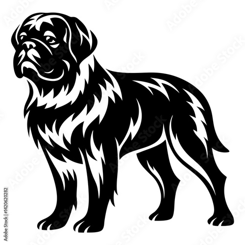 Black and white vector image of a Bernese Mountain Dog illustration