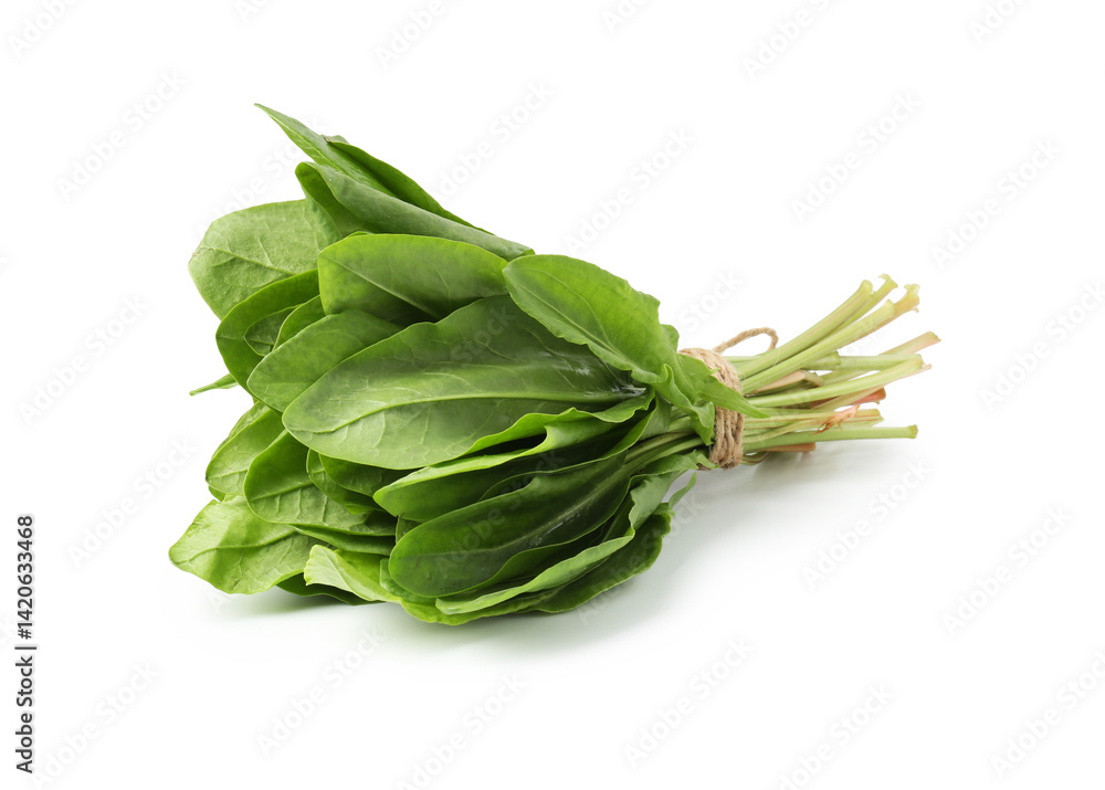 Bunch of fresh green sorrel leaves isolated on white Bunch of fresh green sorrel leaves isolated on white