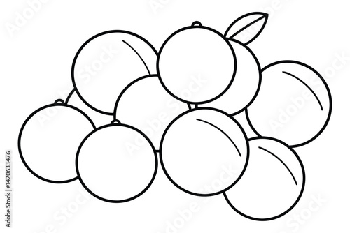 lingonberry fresh fruit types